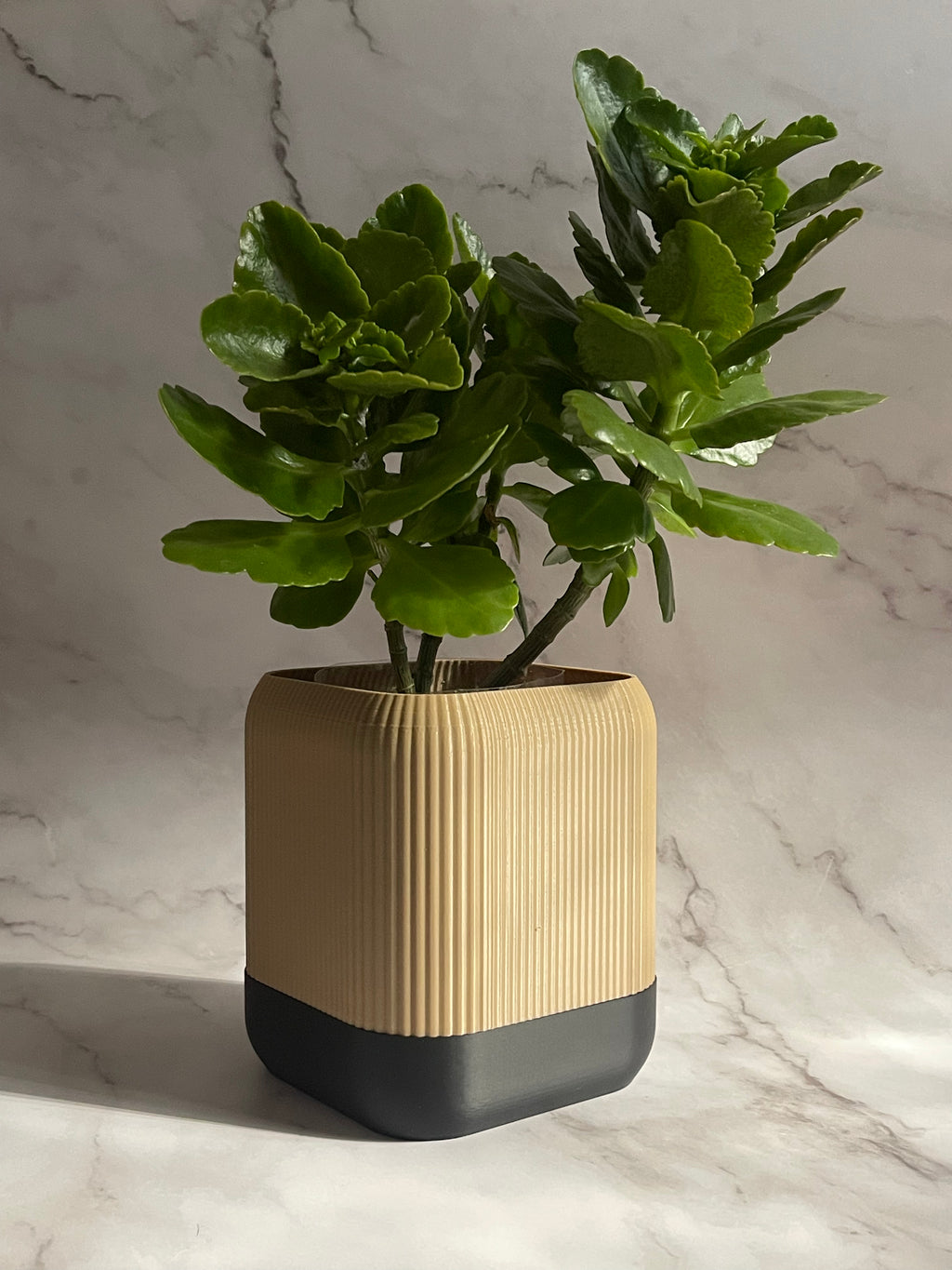 VÄXA - self watering planter