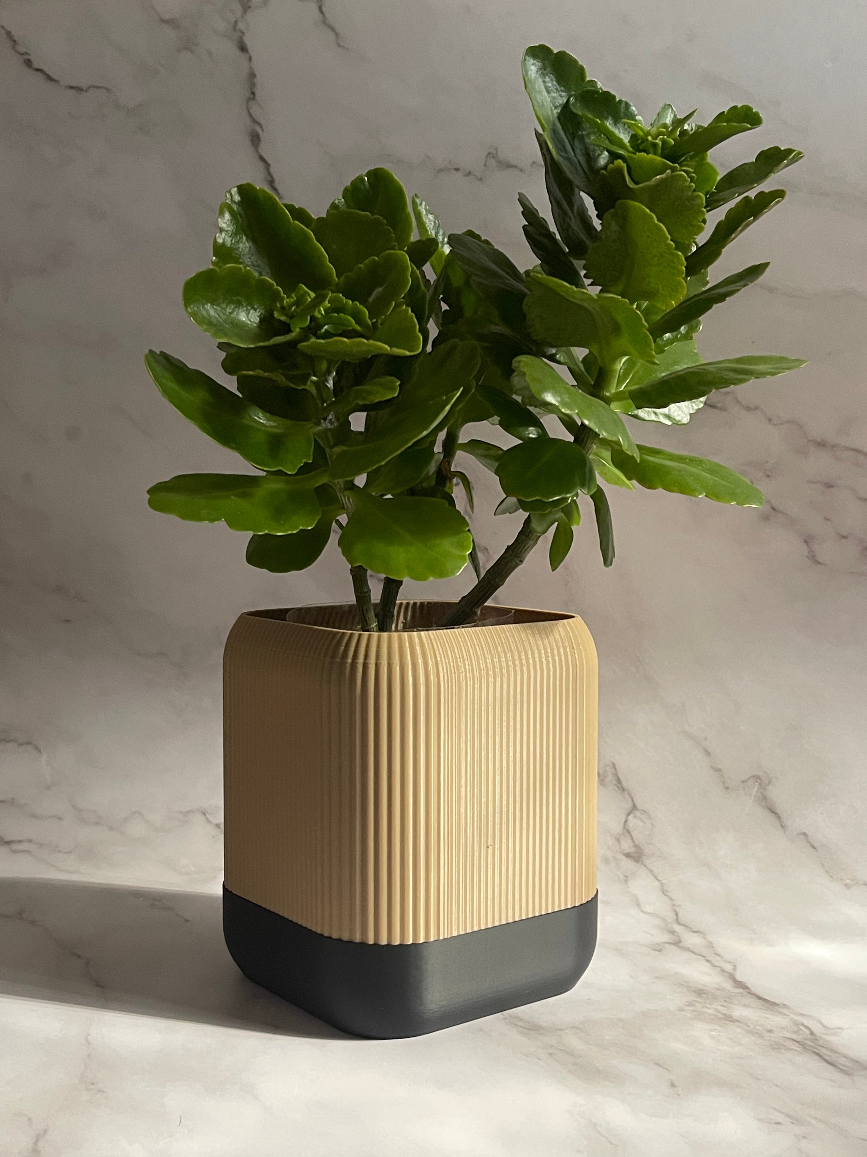 VÄXA - self watering planter