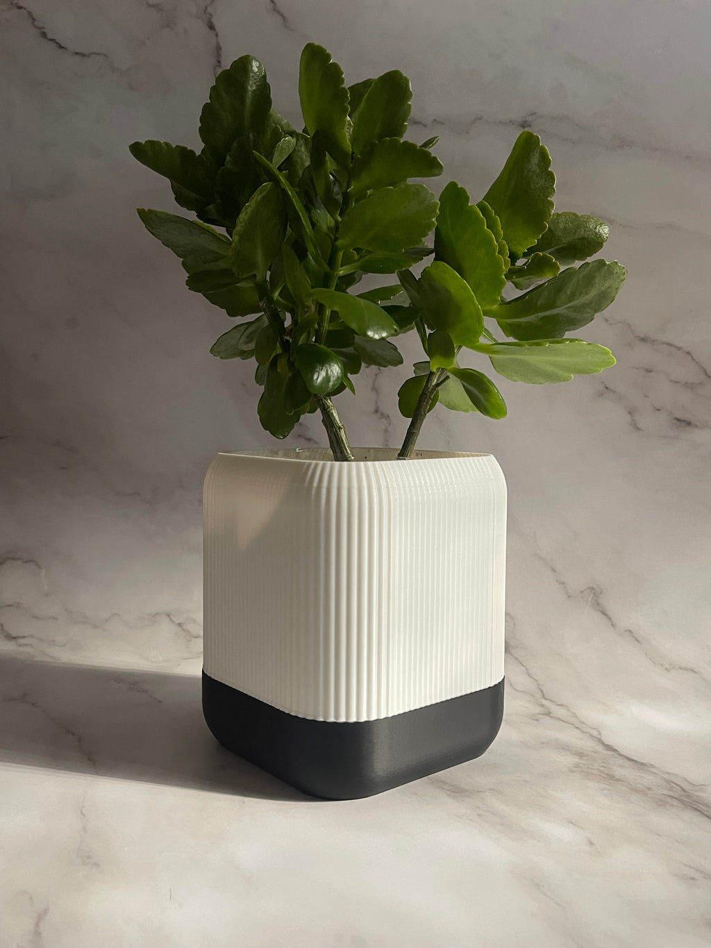 VÄXA - self watering planter