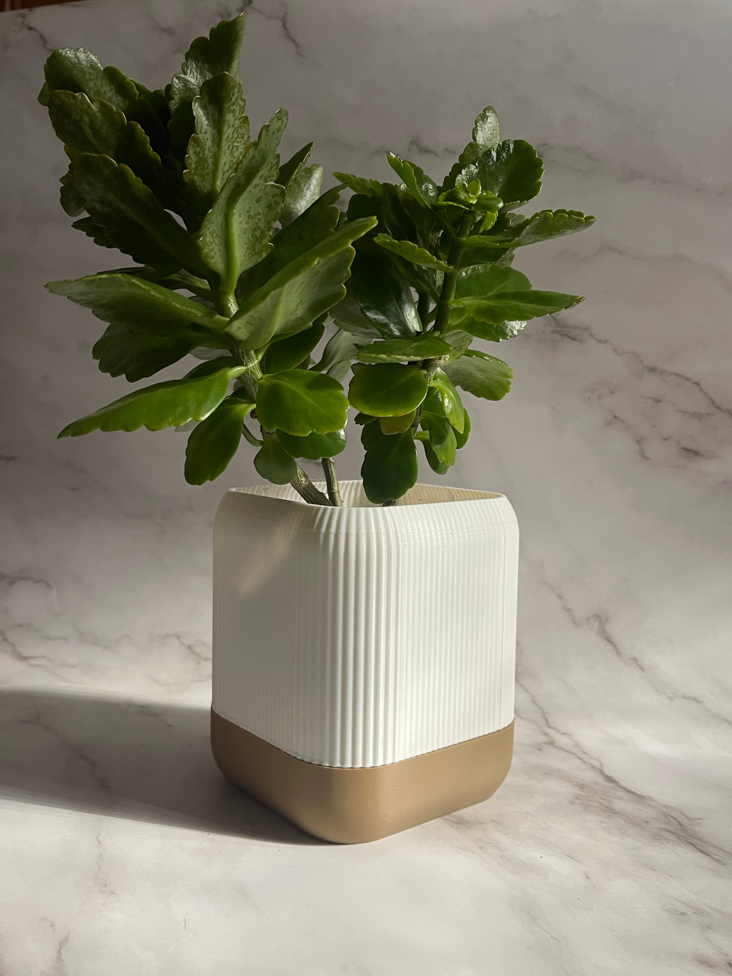 VÄXA - self watering planter