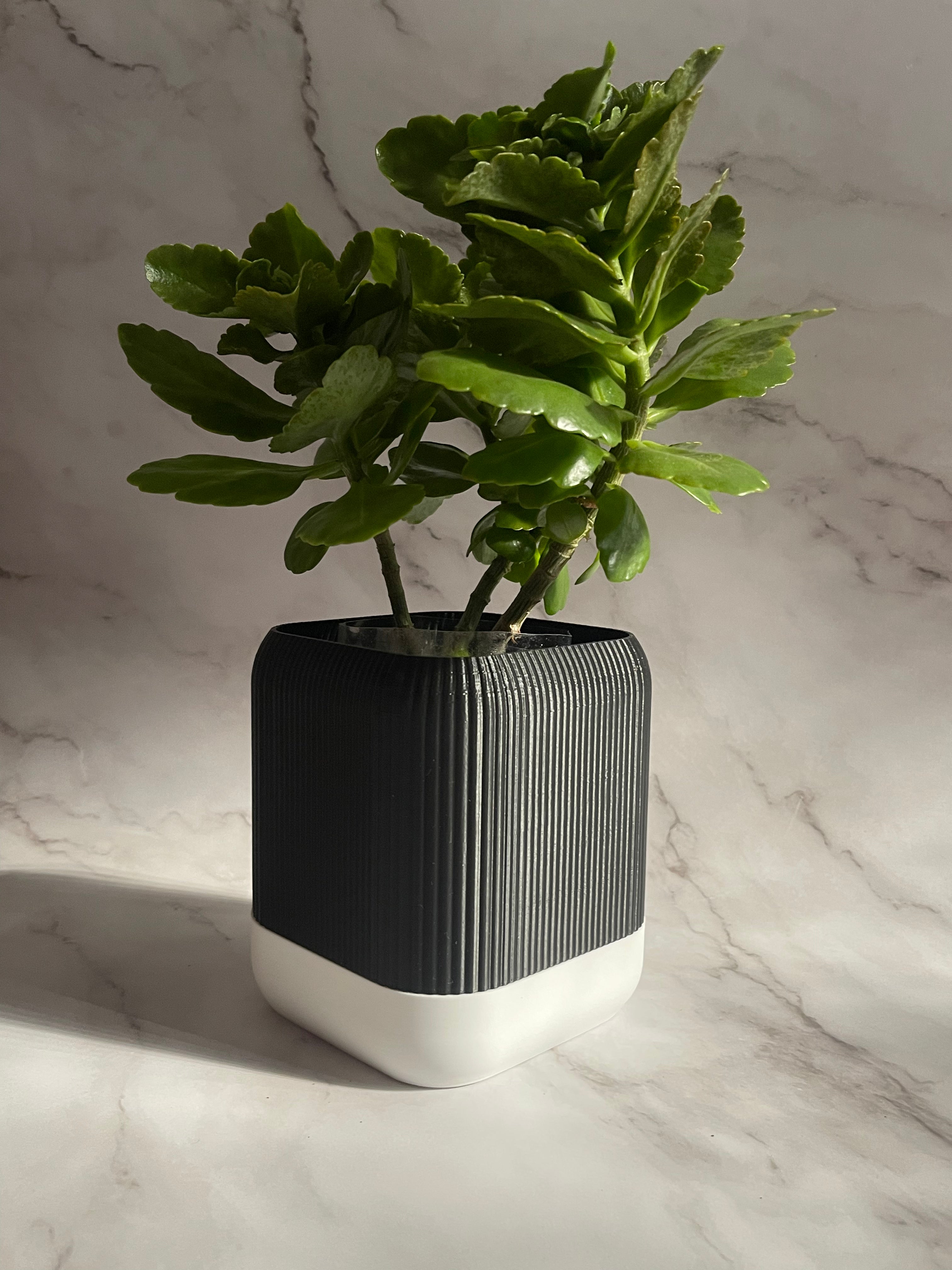 VÄXA - self watering planter