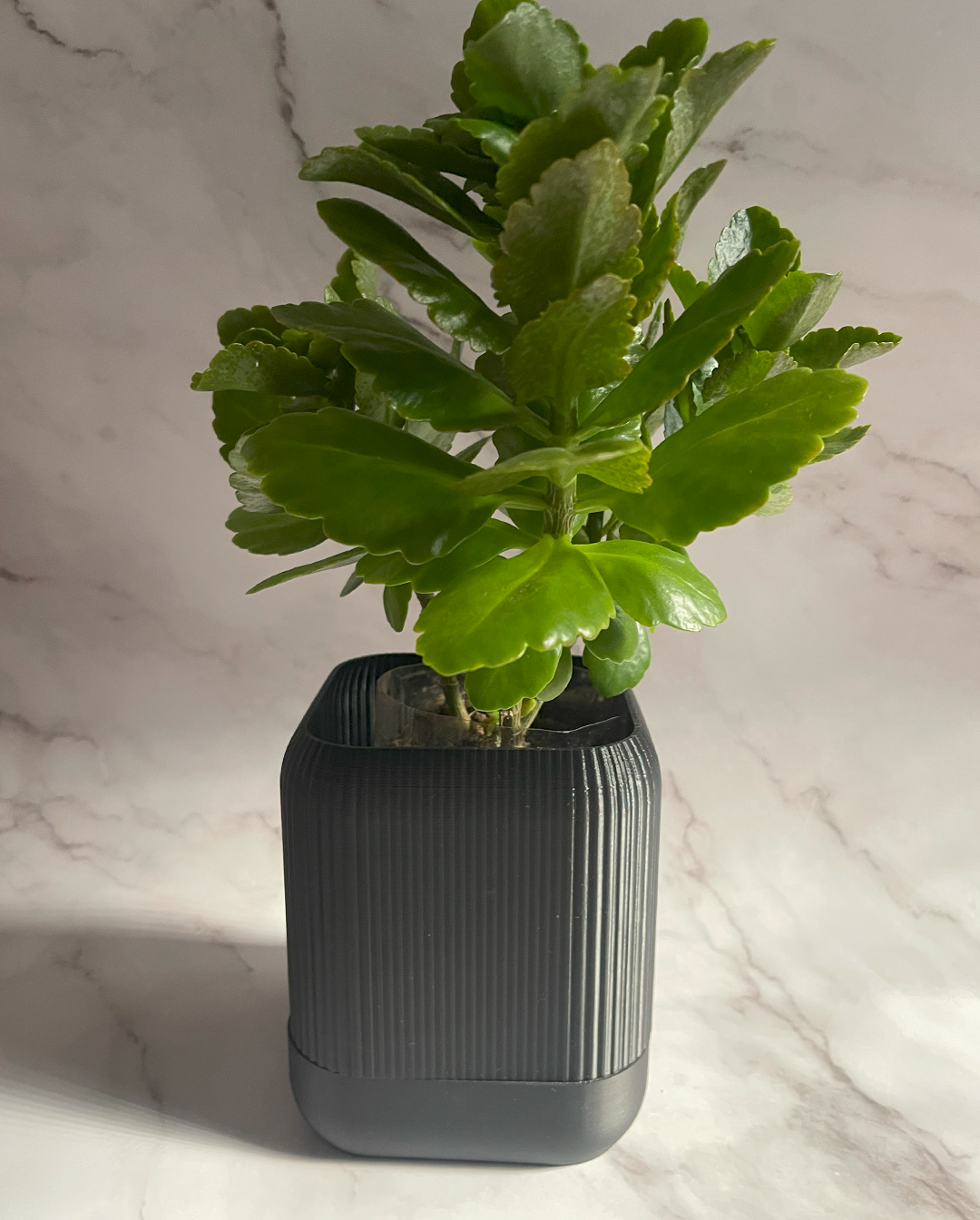 VÄXA - self watering planter