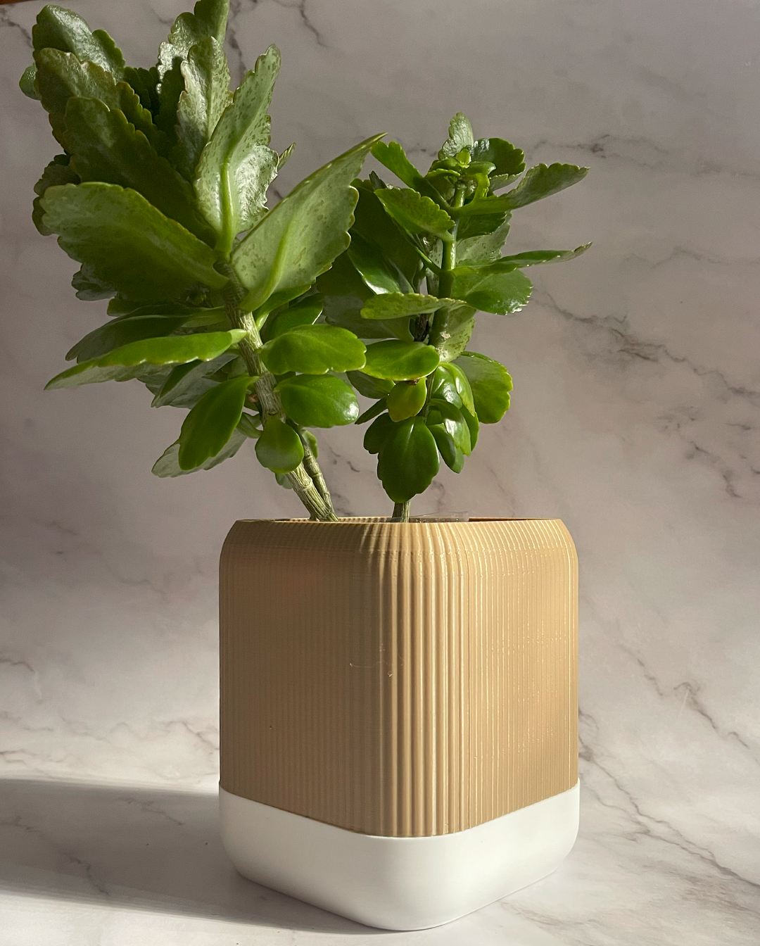 VÄXA - self watering planter
