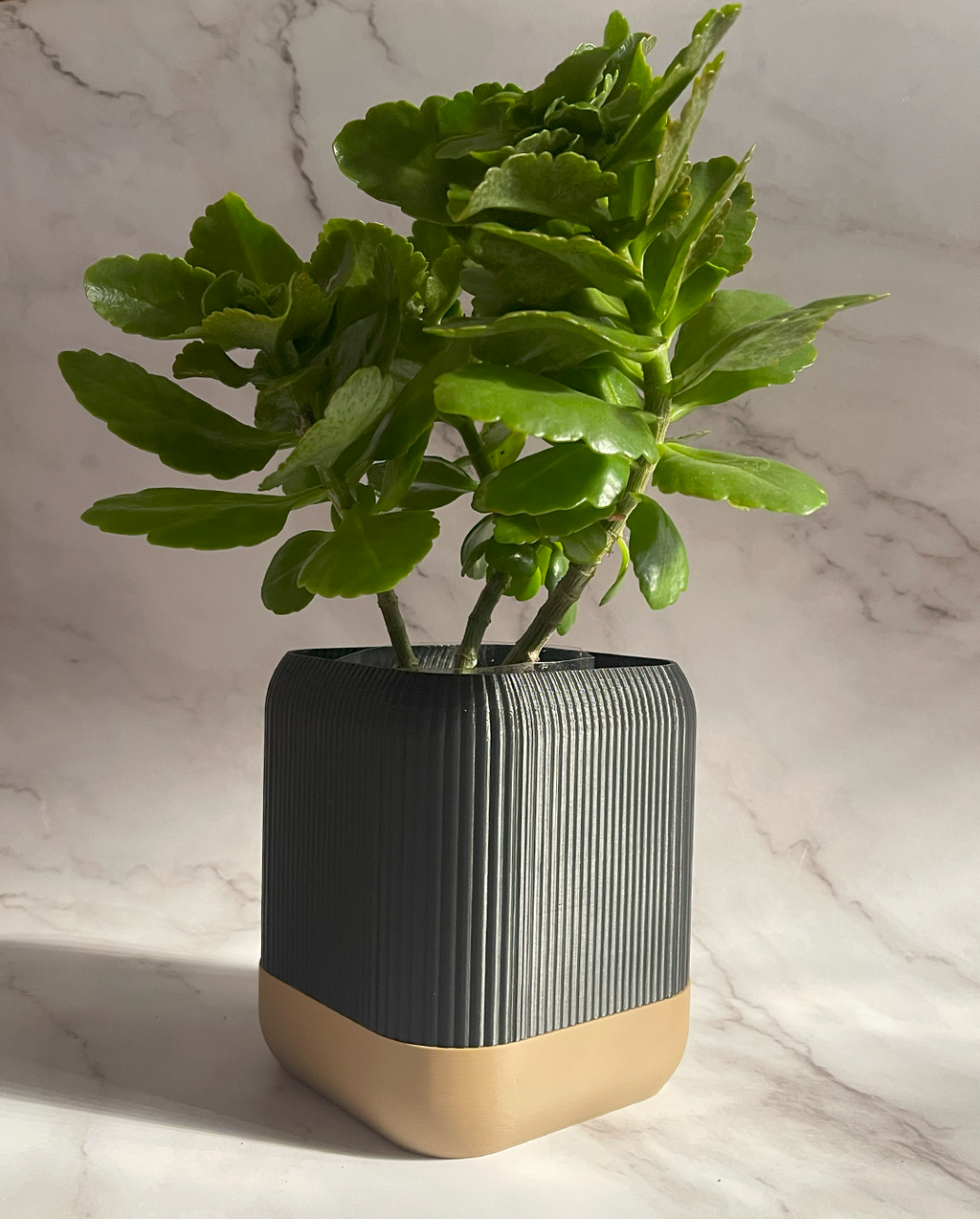 VÄXA - self watering planter