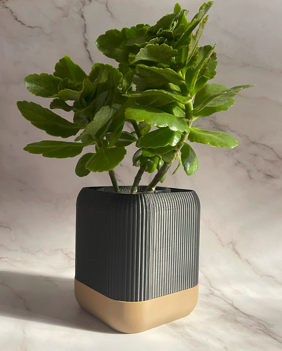 VÄXA - self watering planter